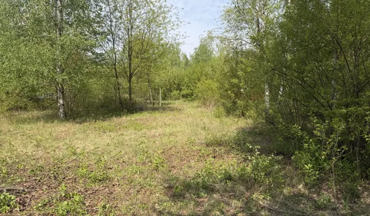 Działka budowlana Popowo-Parcele, ul. Cyraneczki