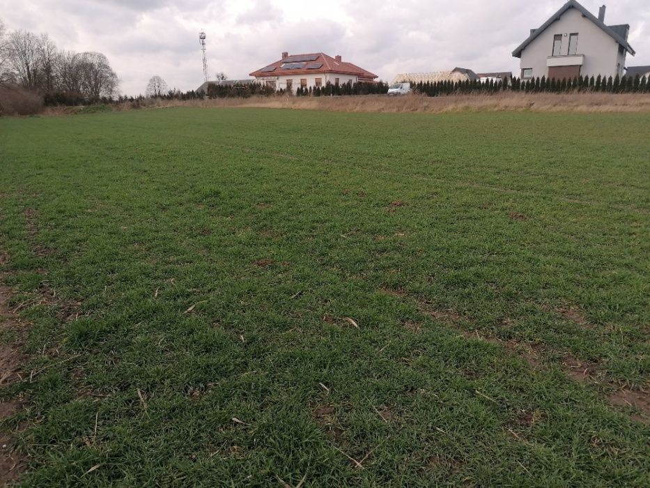 Działka budowlana Mogilno, ul. Adama Asnyka. Zdjęcie 2