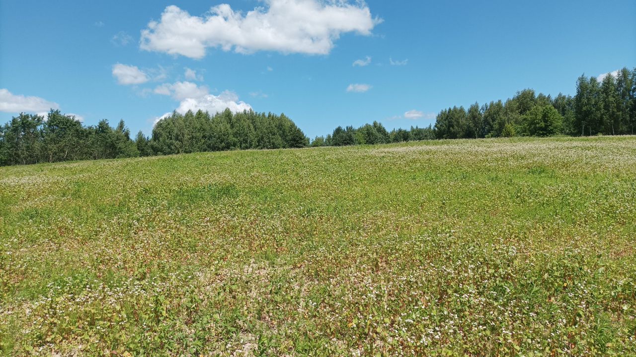 Działka rolno-budowlana Wolica-Kolonia. Zdjęcie 10