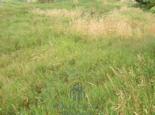 Działka Ostrówek. Zdjęcie 7