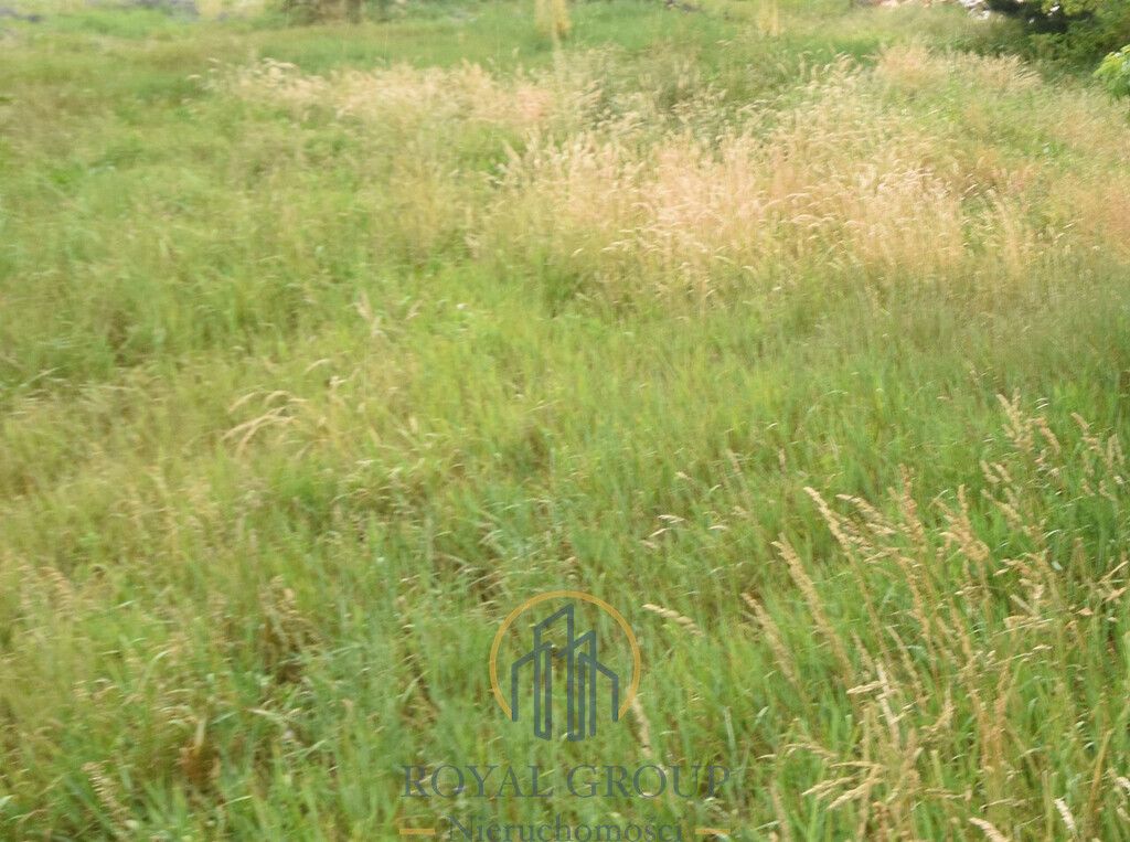 Działka Ostrówek. Zdjęcie 7