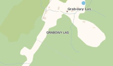 Działka siedliskowa Grabowy Las