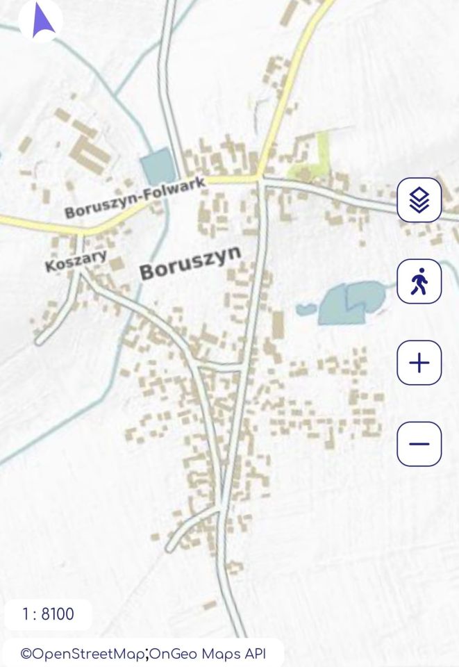 Działka rolna Boruszyn. Zdjęcie 2