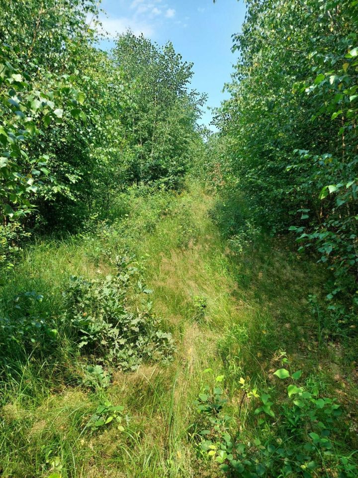 Działka rolno-budowlana Dąbrowa Goszczewicka. Zdjęcie 1