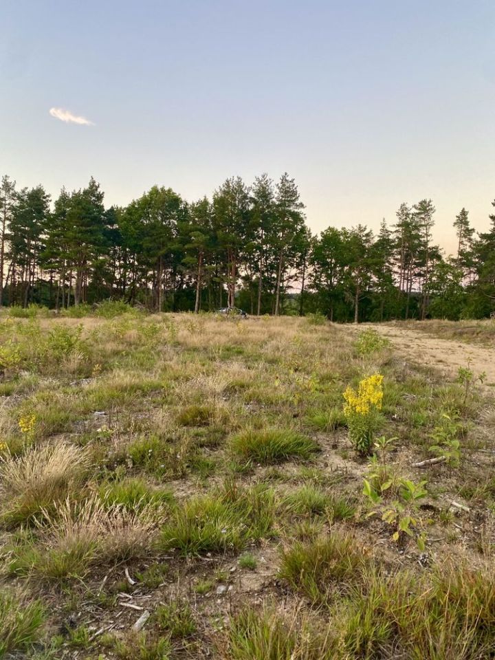 Działka rekreacyjna Spore. Zdjęcie 4