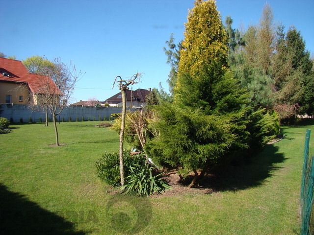 Lokal Ustowo. Zdjęcie 23