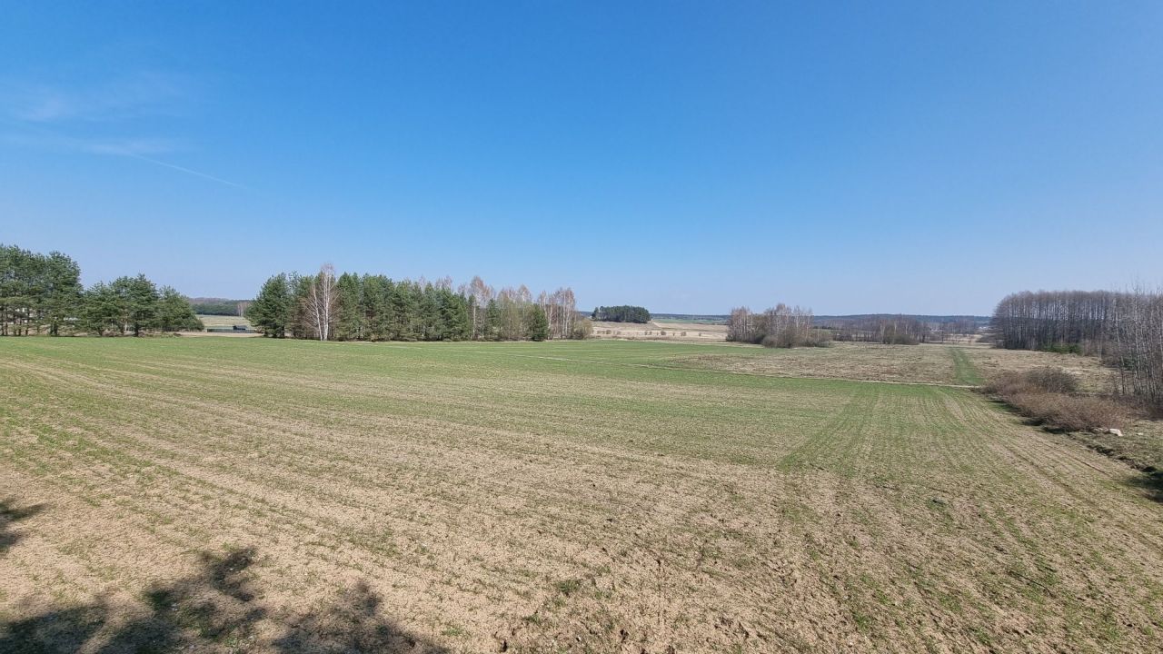 Działka rolna Wólka Ratowiecka. Zdjęcie 3