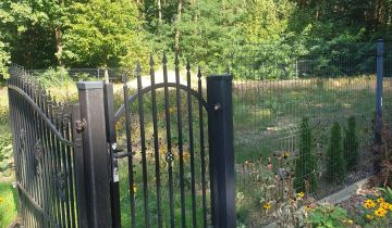 siedlisko Strzeniówka