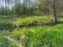 Działka rolno-budowlana Naropna. Zdjęcie 1