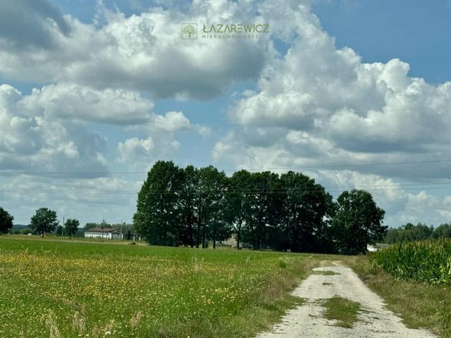 Działka budowlana Wiązowna. Zdjęcie 6