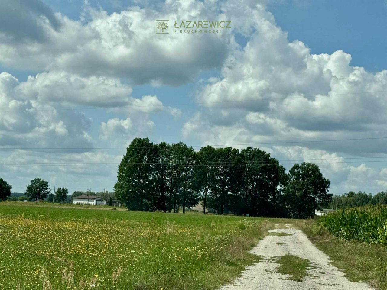 Działka budowlana Wiązowna. Zdjęcie 6