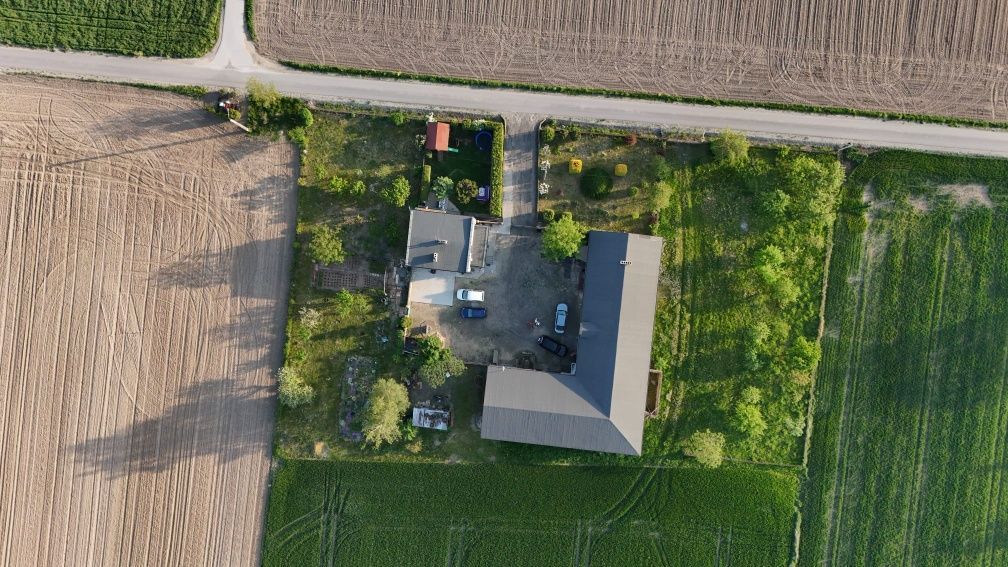 Działka rolna Krzyżanów. Zdjęcie 5