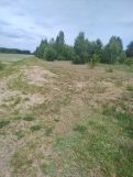 Działka rolno-budowlana Budykierz. Zdjęcie 1