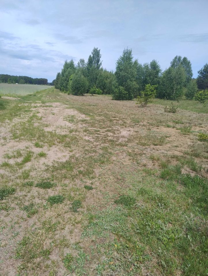 Działka rolno-budowlana Budykierz. Zdjęcie 2