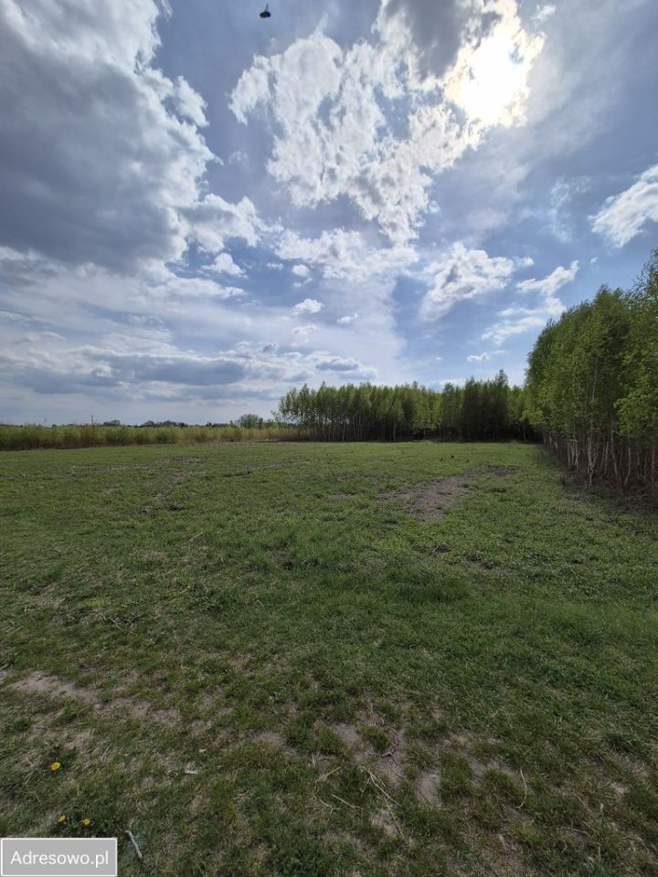 Działka budowlana Robercin. Zdjęcie 2