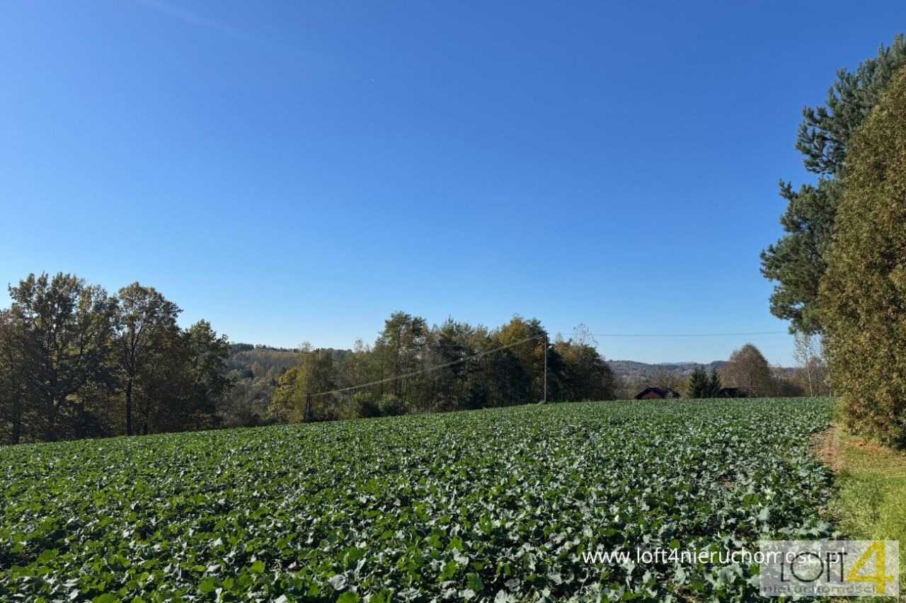Działka budowlana Tuchów, ul. Ryglicka. Zdjęcie 5
