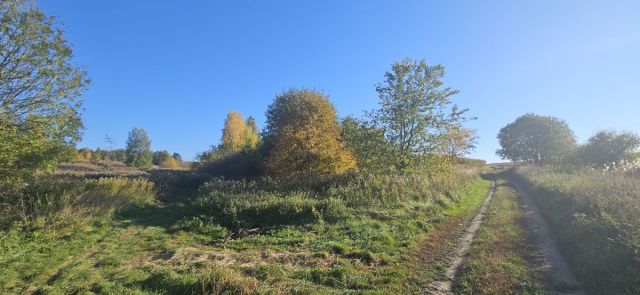 Działka rolna Kuraszków. Zdjęcie 4