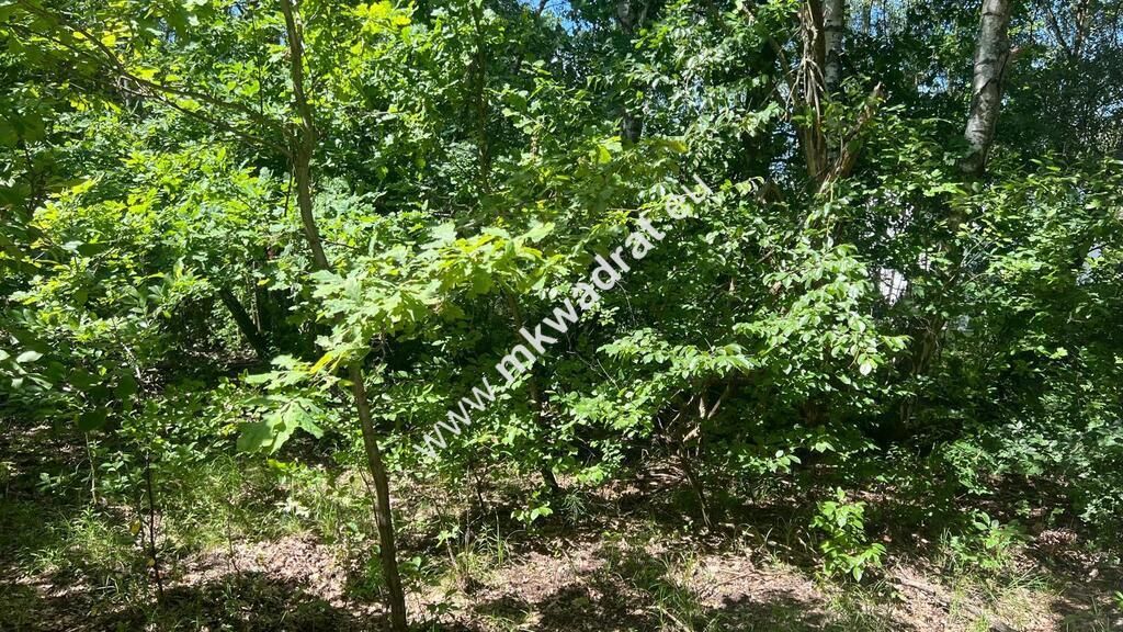 Działka budowlana Radonie. Zdjęcie 19