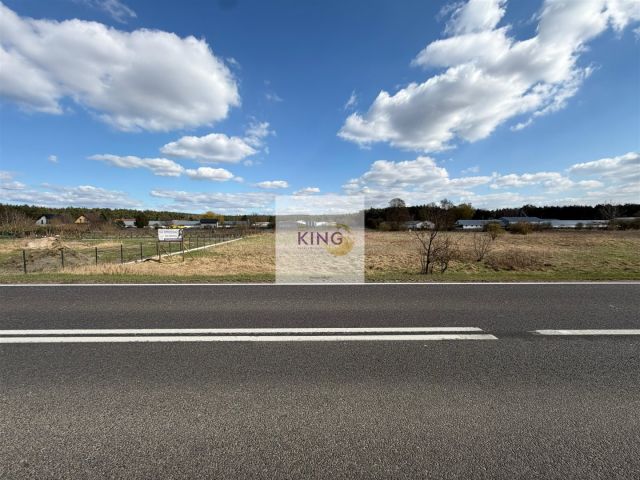 Działka inwestycyjna Pniewo. Zdjęcie 2