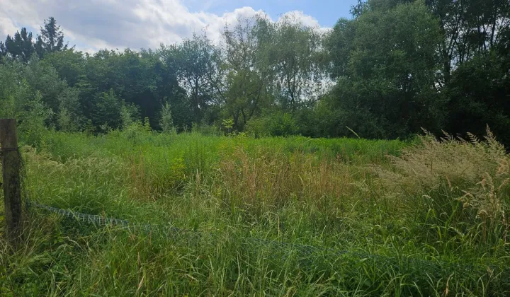 Działka budowlana Dąbrowa Górnicza Pogoria, ul. Parkowa