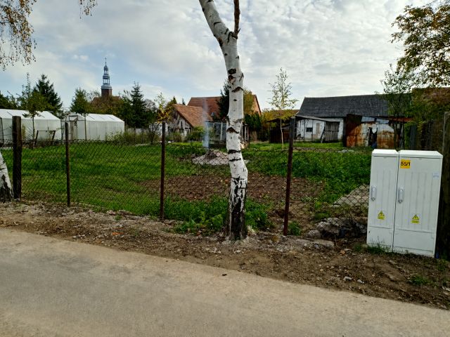 Działka budowlana Borzygniew, ul. Ogrodowa. Zdjęcie 5