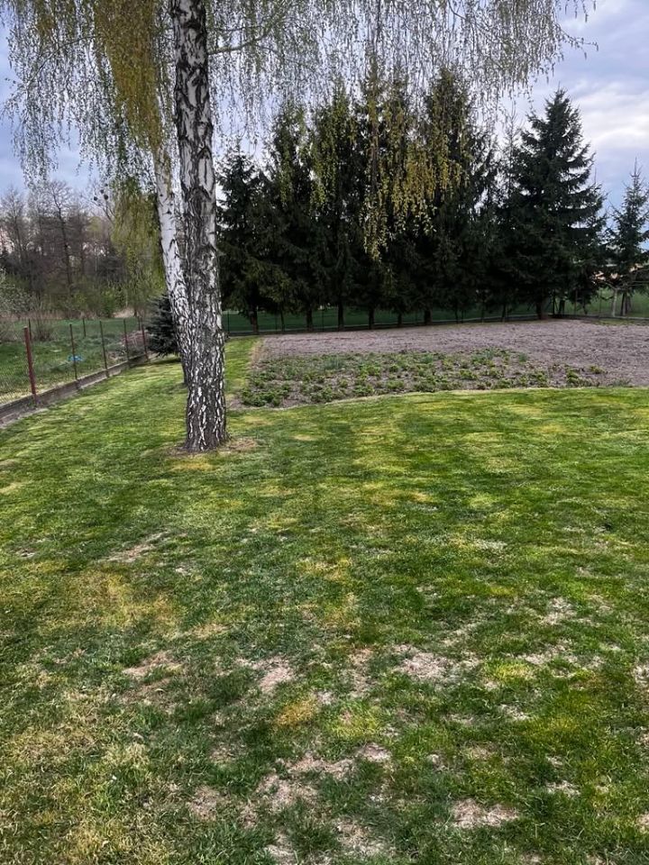 dom wolnostojący, 6 pokoi Werbkowice, ul. Bolesława Prusa. Zdjęcie 10