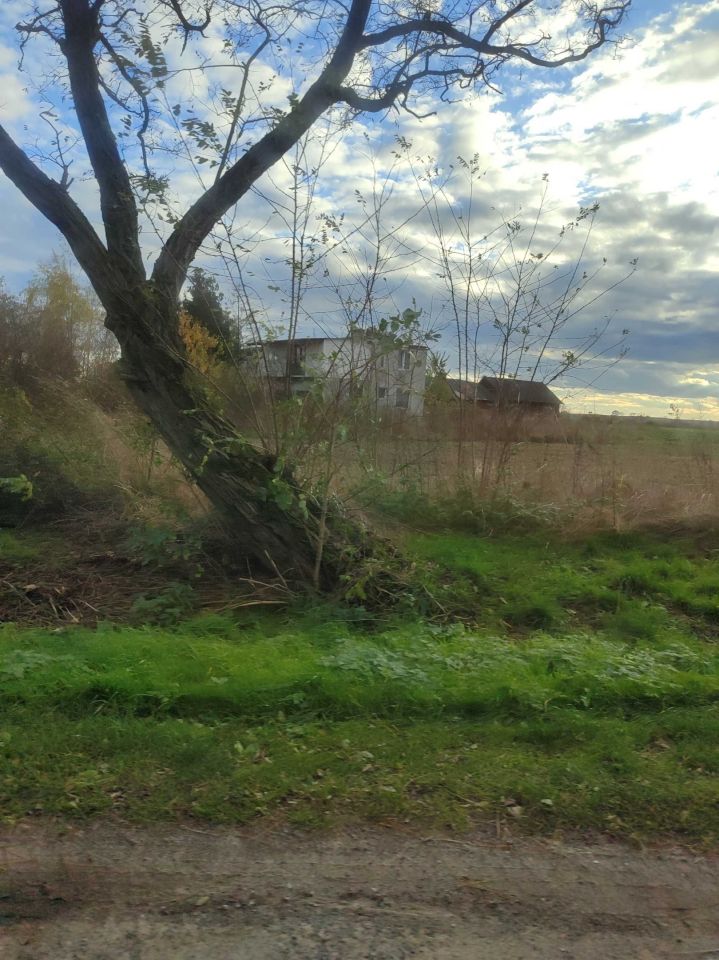 siedlisko Lichawa-Kolonia. Zdjęcie 3