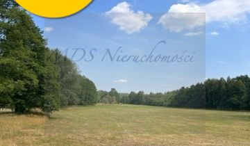 Działka budowlana Węgrów Nowiny