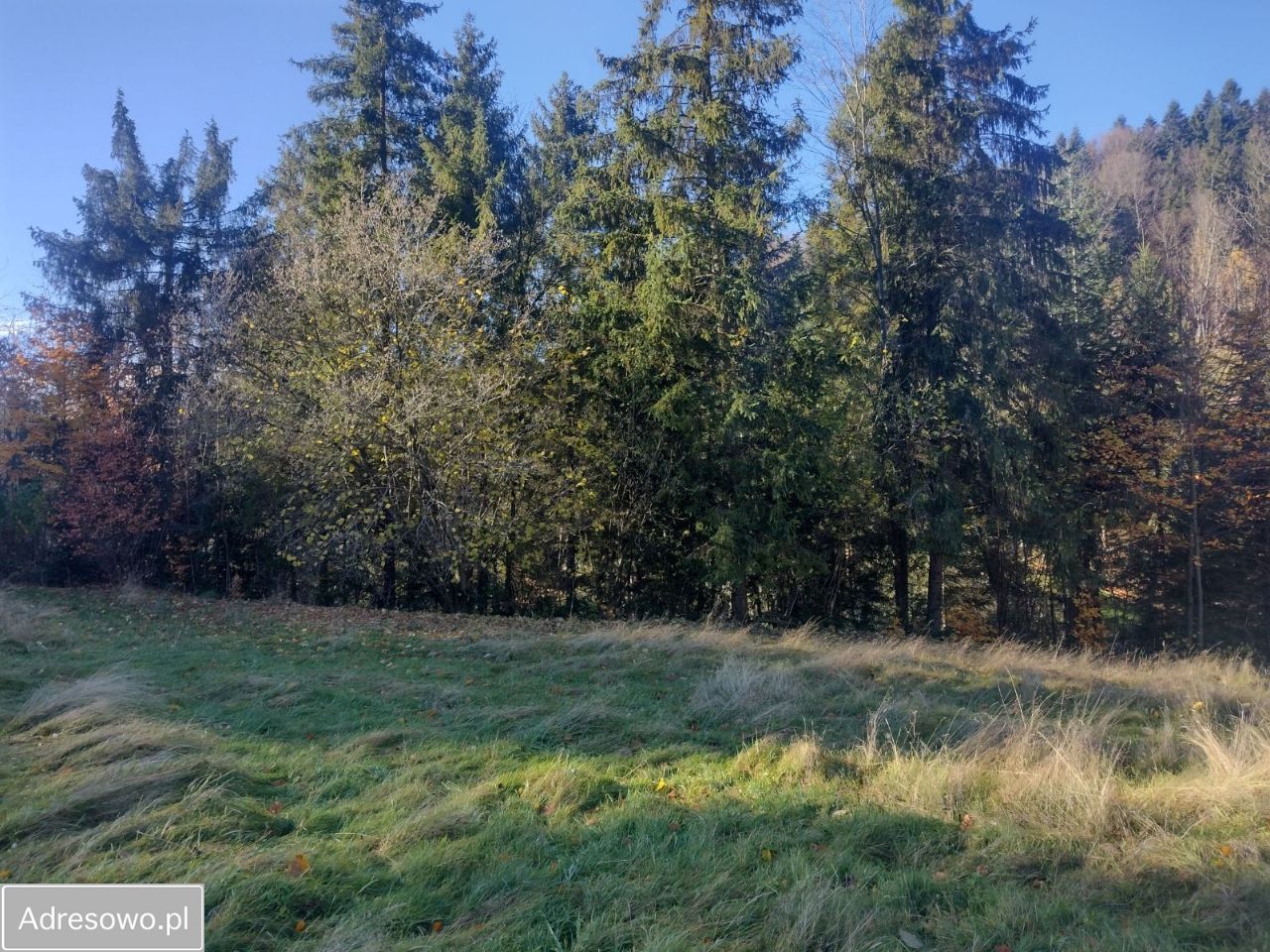 Działka rekreacyjna Szczawa. Zdjęcie 7