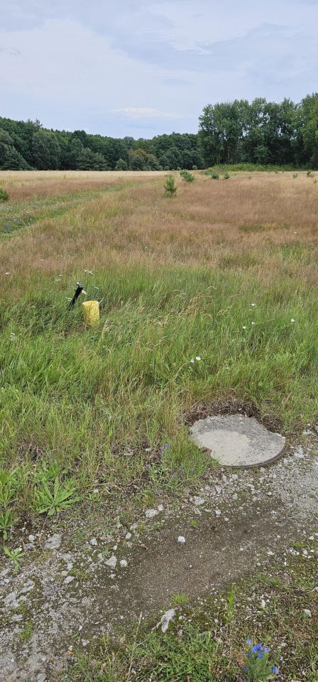 Działka rolno-budowlana Nowe Warpno Miroszewo. Zdjęcie 12