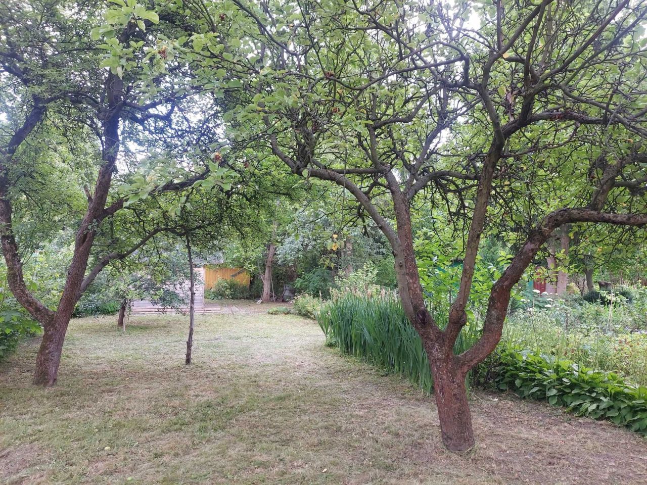 Działka rod Warszawa Szczęśliwice. Zdjęcie 3