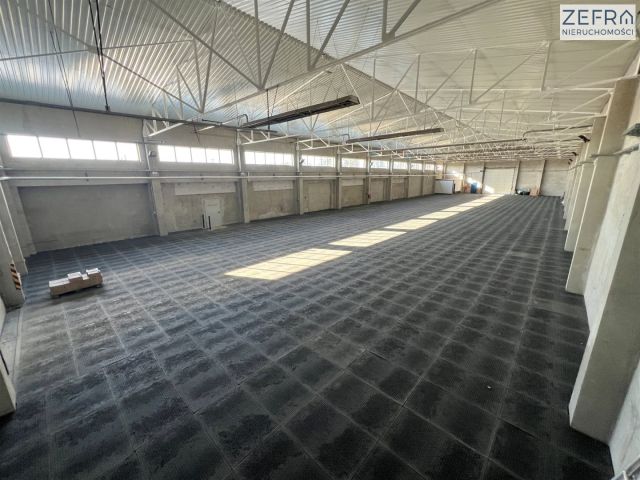 Hala/magazyn Babice. Zdjęcie 1