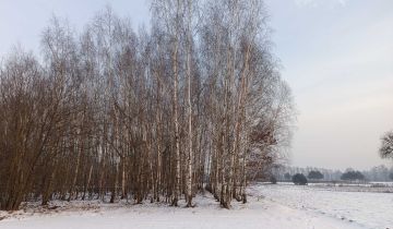 Działka rolna Bieliny