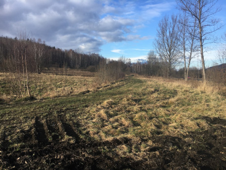 Działka budowlana Jeżów Sudecki, ul. Leśna