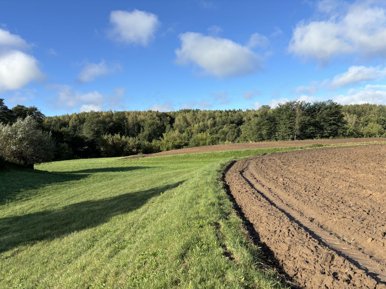 Działka rolna Nietulisko Duże. Zdjęcie 4