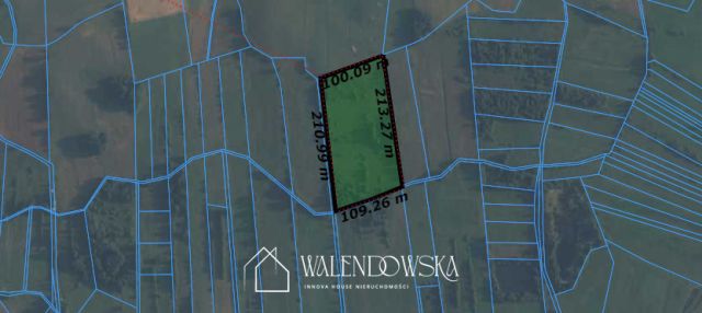 Działka rolna Gowidlino. Zdjęcie 8