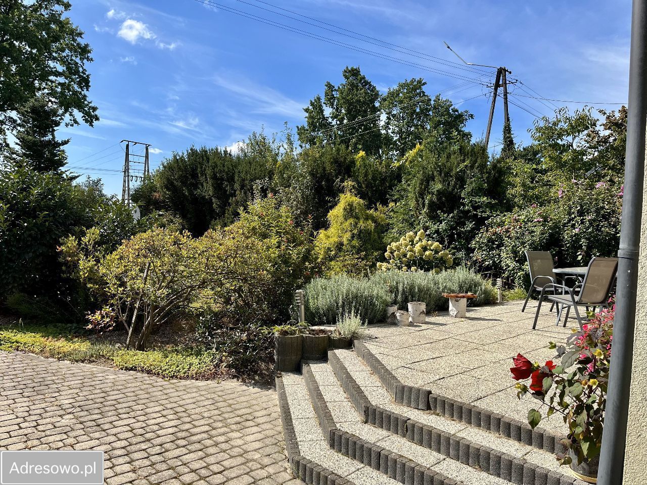 siedlisko, 6 pokoi Strzyżew Strzyżew-Parcela. Zdjęcie 5