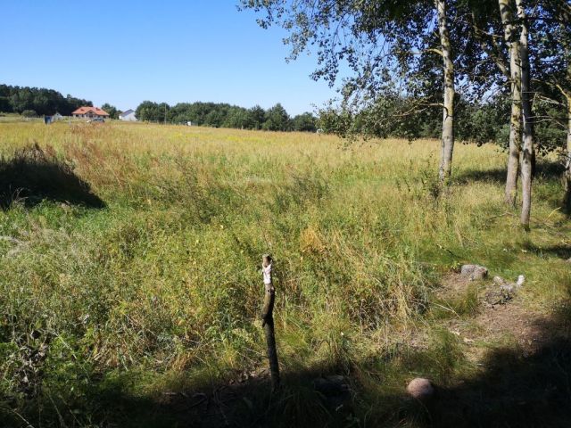 Działka budowlana Pietrzyki. Zdjęcie 8