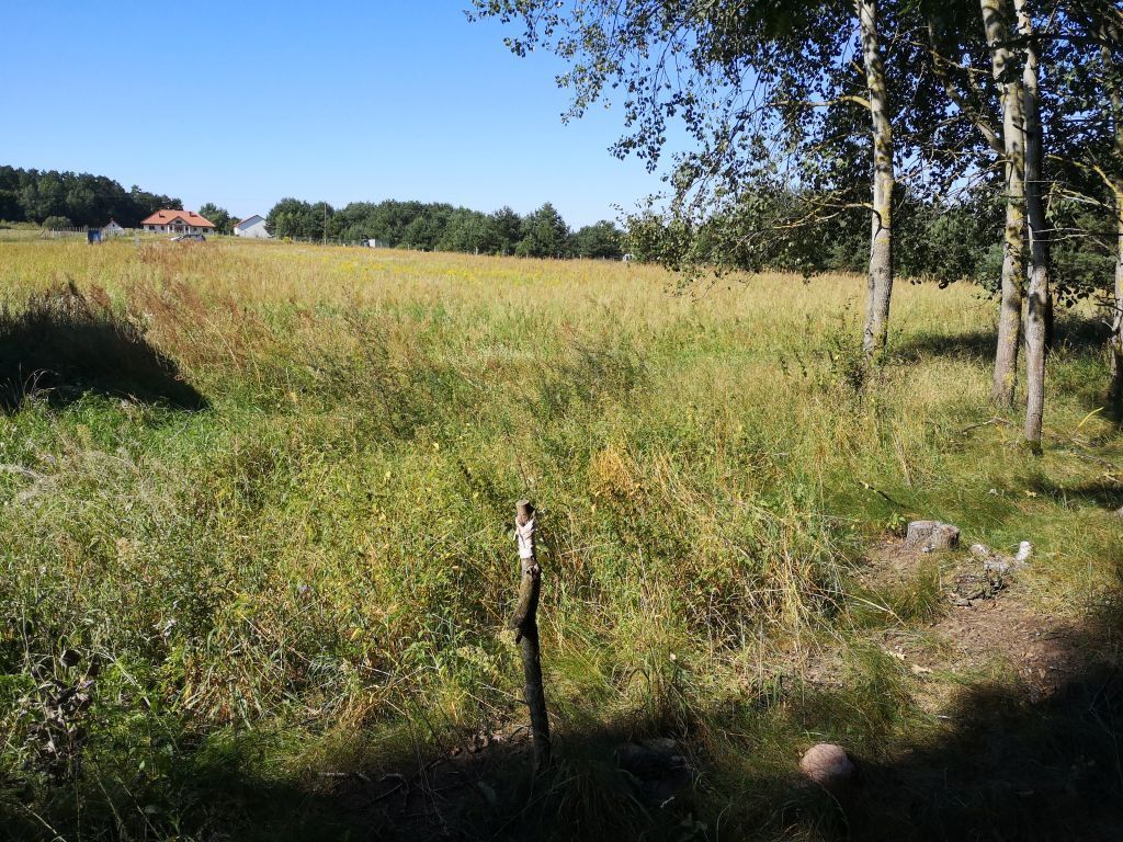 Działka budowlana Pietrzyki. Zdjęcie 8