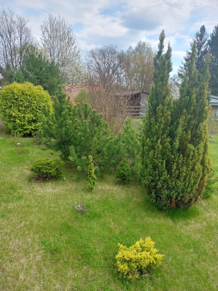 Działka rod Łódź Widzew, ul. Telefoniczna. Zdjęcie 7