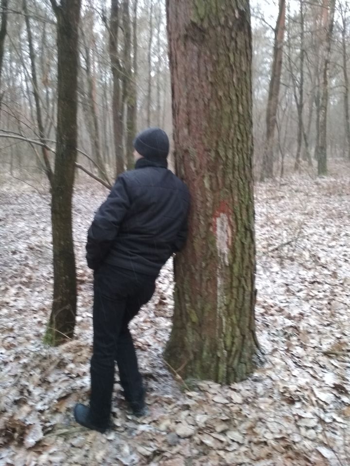 Działka leśna Wojszyn. Zdjęcie 8