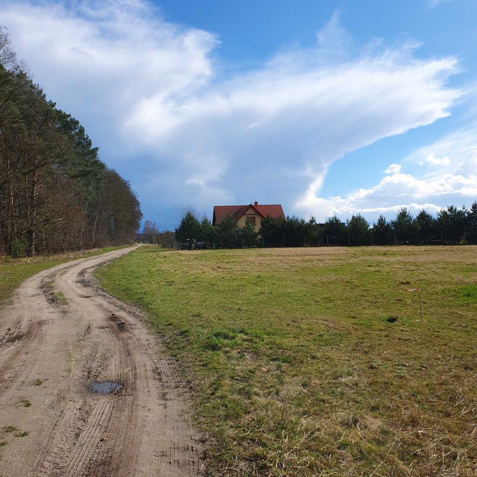 Działka rolna Bielkowo. Zdjęcie 4