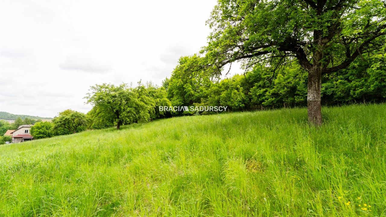 Działka inwestycyjna Czerna. Zdjęcie 14
