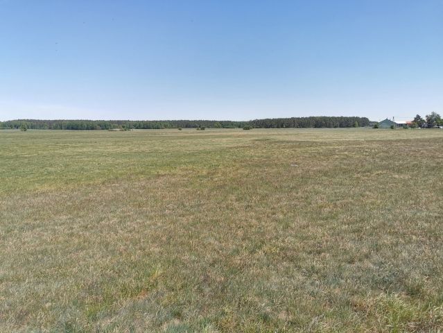 Działka rolna Święta. Zdjęcie 15