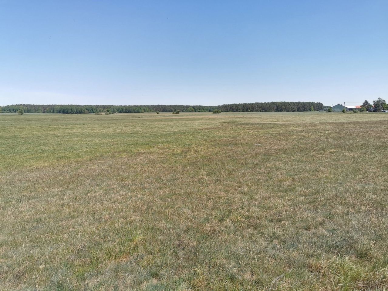 Działka rolna Święta. Zdjęcie 15