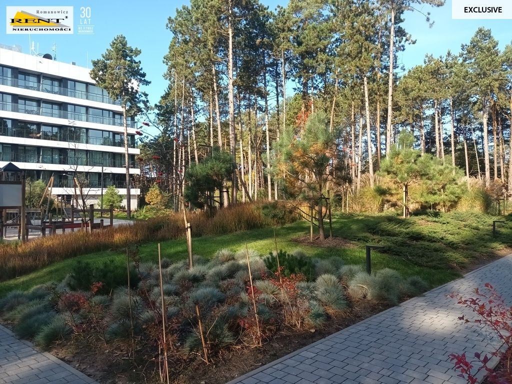 Mieszkanie 2-pokojowe Rogowo. Zdjęcie 23