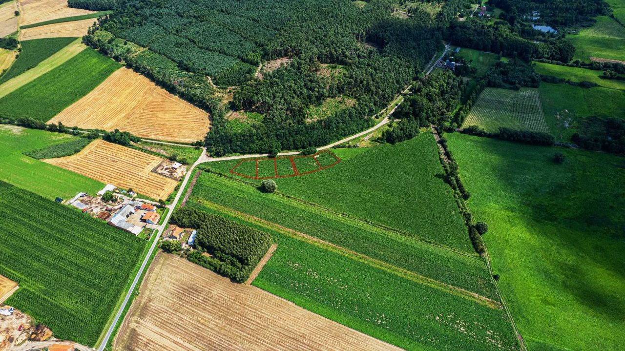 Działka budowlana Bielewo. Zdjęcie 6