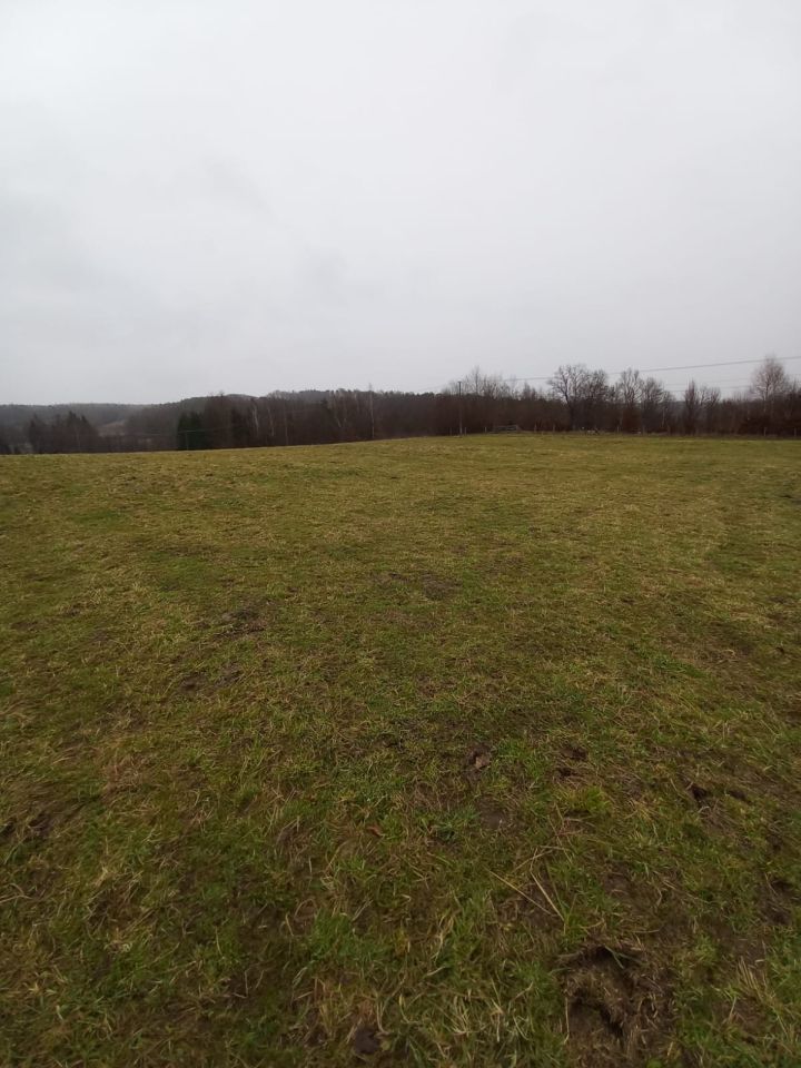 Działka rolno-budowlana Reczpol Przedchołowice. Zdjęcie 5