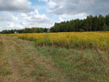 Działka budowlana Wola Mrokowska, ul. Ogrodowa. Zdjęcie 1