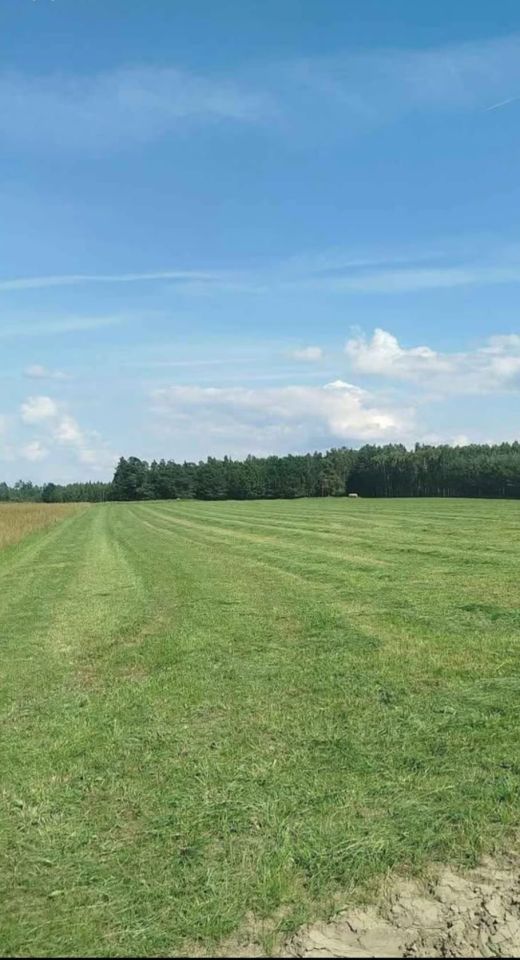 Działka rolno-budowlana Rostki. Zdjęcie 3